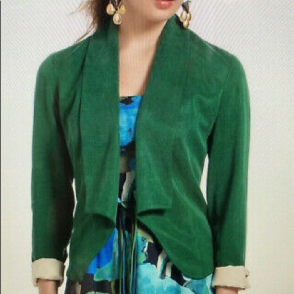 Soft Luxurious Anthro Draped Blazer